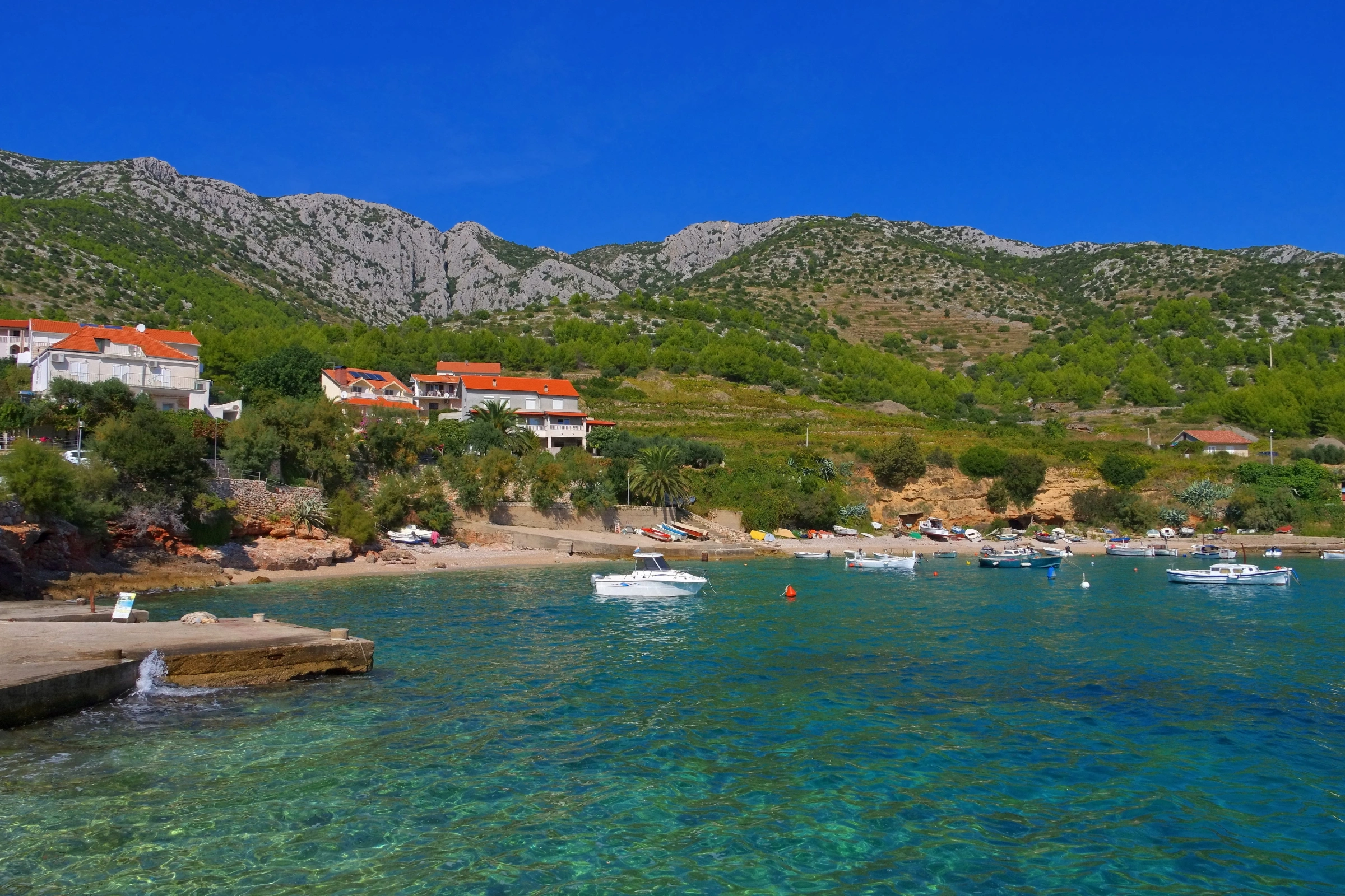 Šćedro[1].webp
